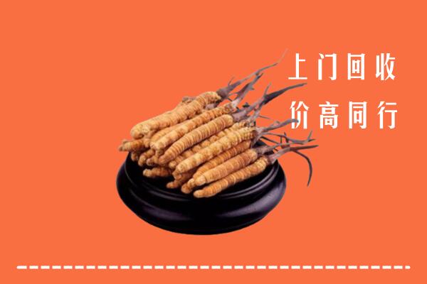 高价求购：衡阳市蒸湘区回收散虫草