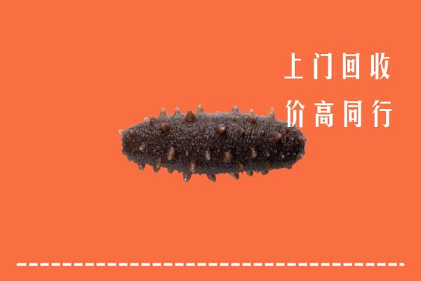 高价求购：衡阳市蒸湘区回收海参