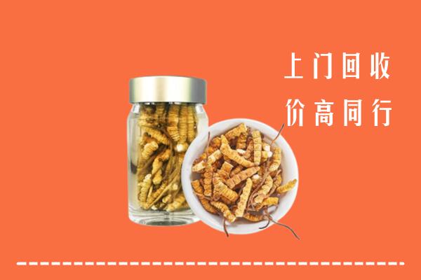 衡阳市蒸湘区回收冬虫夏草